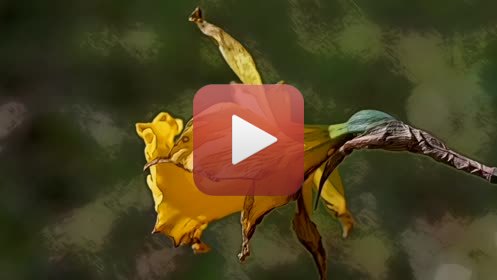 MARSréalisation Claude Jeanmartmusique : Hélène Sage03 - 2020FILMS DES CONFINSPendant la période de confinement (virus Covid -19 ), impossible de continuer les APSARAS et le dessin en aveugle.Envie d’utiliser toutes les ressources autour de moi, dans la maison, dans le jardin, dans les environs immédiats autorisés, en utilisant la vidéo, à défaut d’autres possibilités. Ce seront donc 20  films de 6 minutes avec des musiques composées spécialement, réalisés entre décembre 2019 et juillet 2020. Un seul thème à la fois traité » picturalement » : pas de scénario écrit, pas de croquis, mais l’œil aux aguets, prises de vues au fur et à mesure de l’émergence des idées, montage direct, et retour fréquent à de nouvelles prises de vue. Multiples versions pour parvenir au résultat final, transmis aux musiciens, qui ont travaillé de la même façon. Sur le site impossible de présenter la totalité des films ni chacun dans son entière durée. Ce sont donc à chaque fois, des réductions à 3 minutes environ.A plusieurs reprises je me suis heurté aux limites de la puissance de mes ordinateurs, j’ai donc renoncé à certains effets pour en inventer d’autres.Ce travail a été très enrichissant, et assez euphorisant.