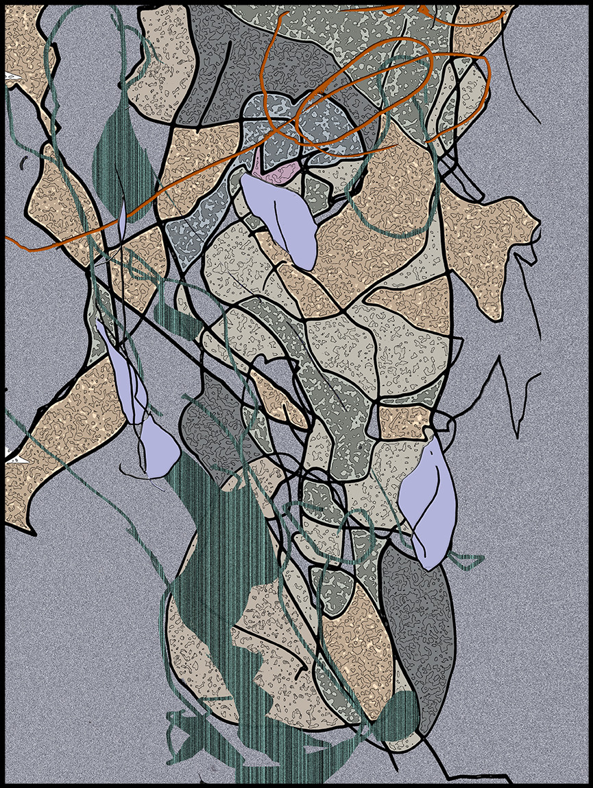 LI  CL - FACE    06-2014   bas