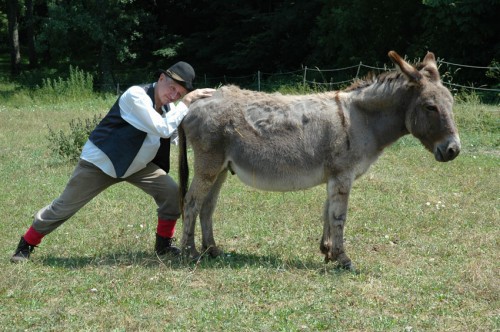 Don Quichotte à Barcelone