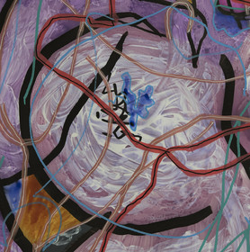 CL  MAR3 -  GÉANTE AGILE  n° 18   - détail