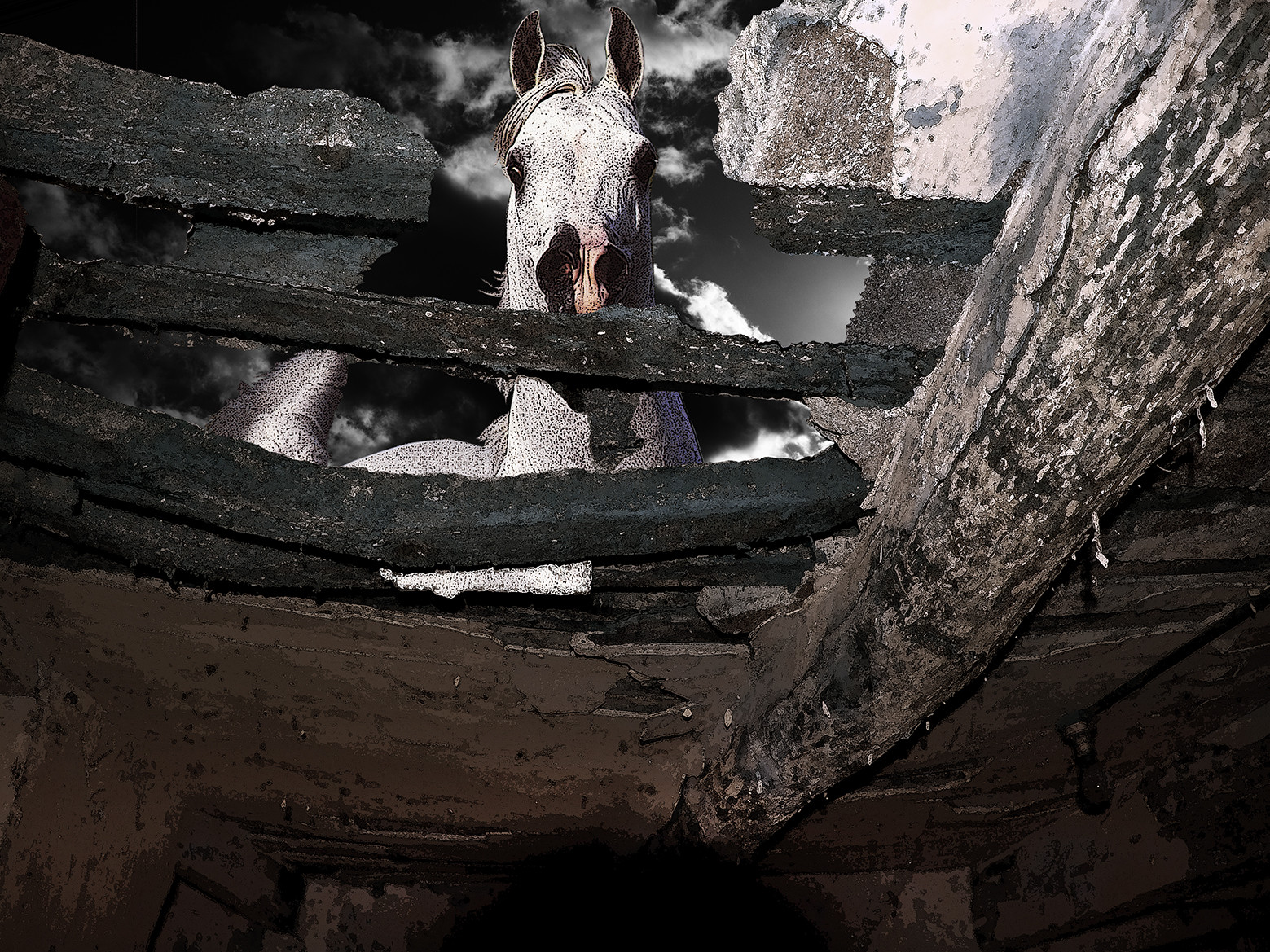 KAFKA,  GRAND CHEVAL  4