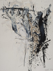 ROSA NEGRA    42 17 - 10 - 199065 x 50