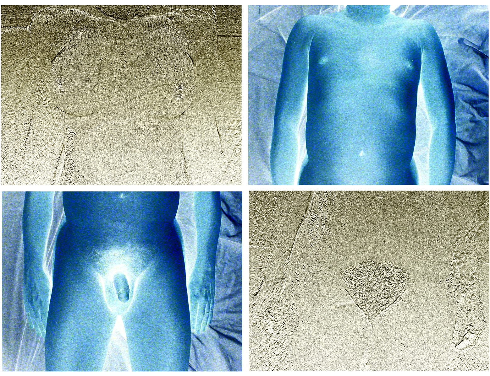 PARALLÉLISME - VOILÉ DÉVOILÉ54