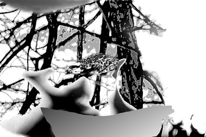 LA NAISSANCE D'EVE - 15