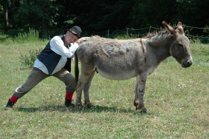 Don Quichotte à Barcelone
