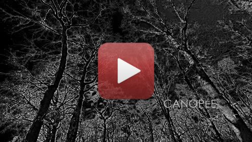 CANOPEEréalisation : Claude Jeanmartmusique : Hélène Sage04 - 2020FILMS DES CONFINSPendant la période de confinement (virus Covid -19 ), impossible de continuer les APSARAS et le dessin en aveugle.Envie d’utiliser toutes les ressources autour de moi, dans la maison, dans le jardin, dans les environs immédiats autorisés, en utilisant la vidéo, à défaut d’autres possibilités. Ce seront donc 20  films de 6 minutes avec des musiques composées spécialement, réalisés entre décembre 2019 et juillet 2020. Un seul thème à la fois traité » picturalement » : pas de scénario écrit, pas de croquis, mais l’œil aux aguets, prises de vues au fur et à mesure de l’émergence des idées, montage direct, et retour fréquent à de nouvelles prises de vue. Multiples versions pour parvenir au résultat final, transmis aux musiciens, qui ont travaillé de la même façon. Sur le site impossible de présenter la totalité des films ni chacun dans son entière durée. Ce sont donc à chaque fois, des réductions à 3 minutes environ.A plusieurs reprises je me suis heurté aux limites de la puissance de mes ordinateurs, j’ai donc renoncé à certains effets pour en inventer d’autres.Ce travail a été très enrichissant, et assez euphorisant.