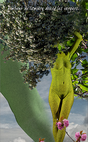 PRINTEMPS PAGE-13.jpg