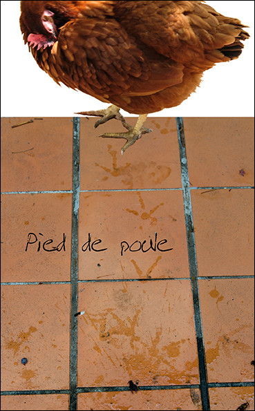 13-POULE.jpg