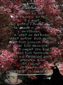 KAFKA,  L'HEURE DU THÉ  5