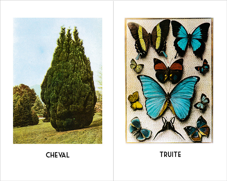 AMBILOGUE IMAGENES 15-16.jpg