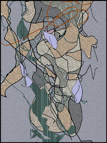 LI  CL - FACE    06-2014   bas