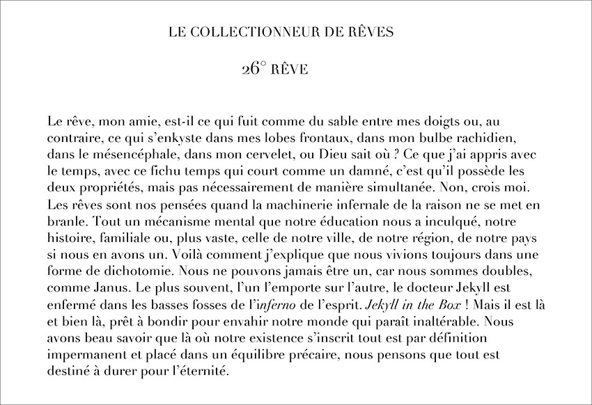 BOITE LE COLLECTIONNEUR DE RÊVE