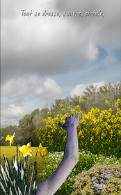 PRINTEMPS PAGE-03.jpg