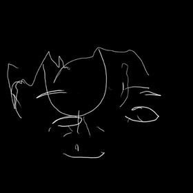 Portrait réalisé les yeux bandés, par ANDREI, élève ingénieur de l'INSA, de Toulouse.Janvier 2010