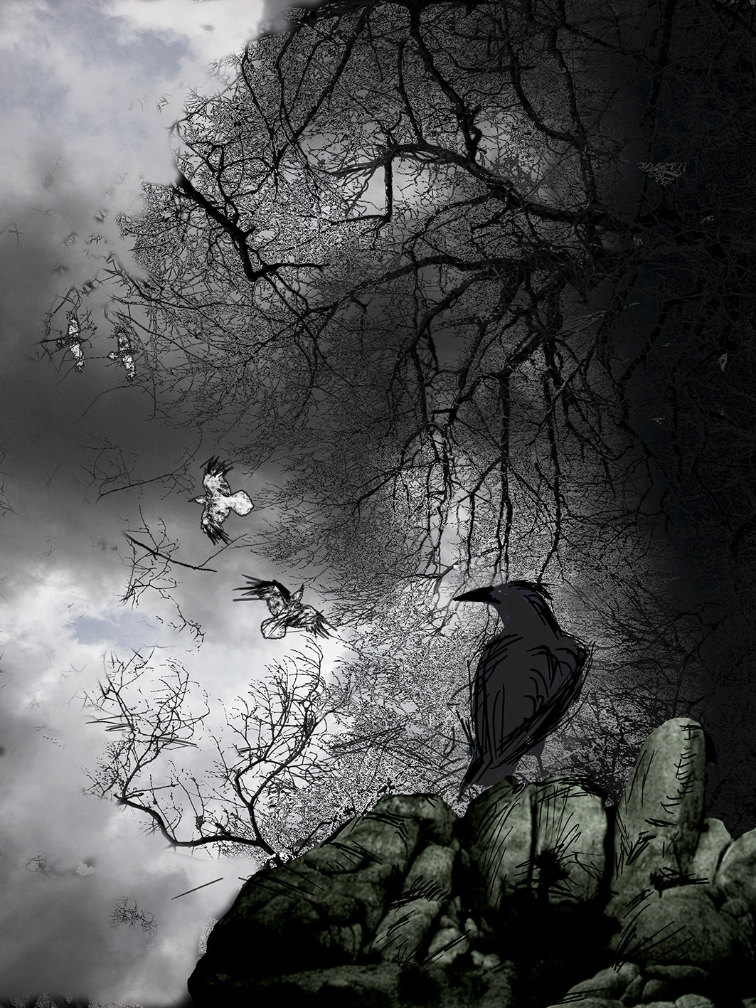 KAFKA - LE CHATEAU-01.jpg