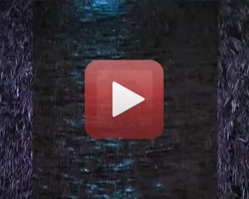 KAFKA - DESCRIPTION D'UN COMBAT    extrait