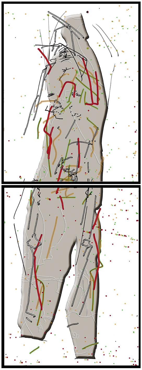 15 - JU  CL - REPLIQUE AGILE