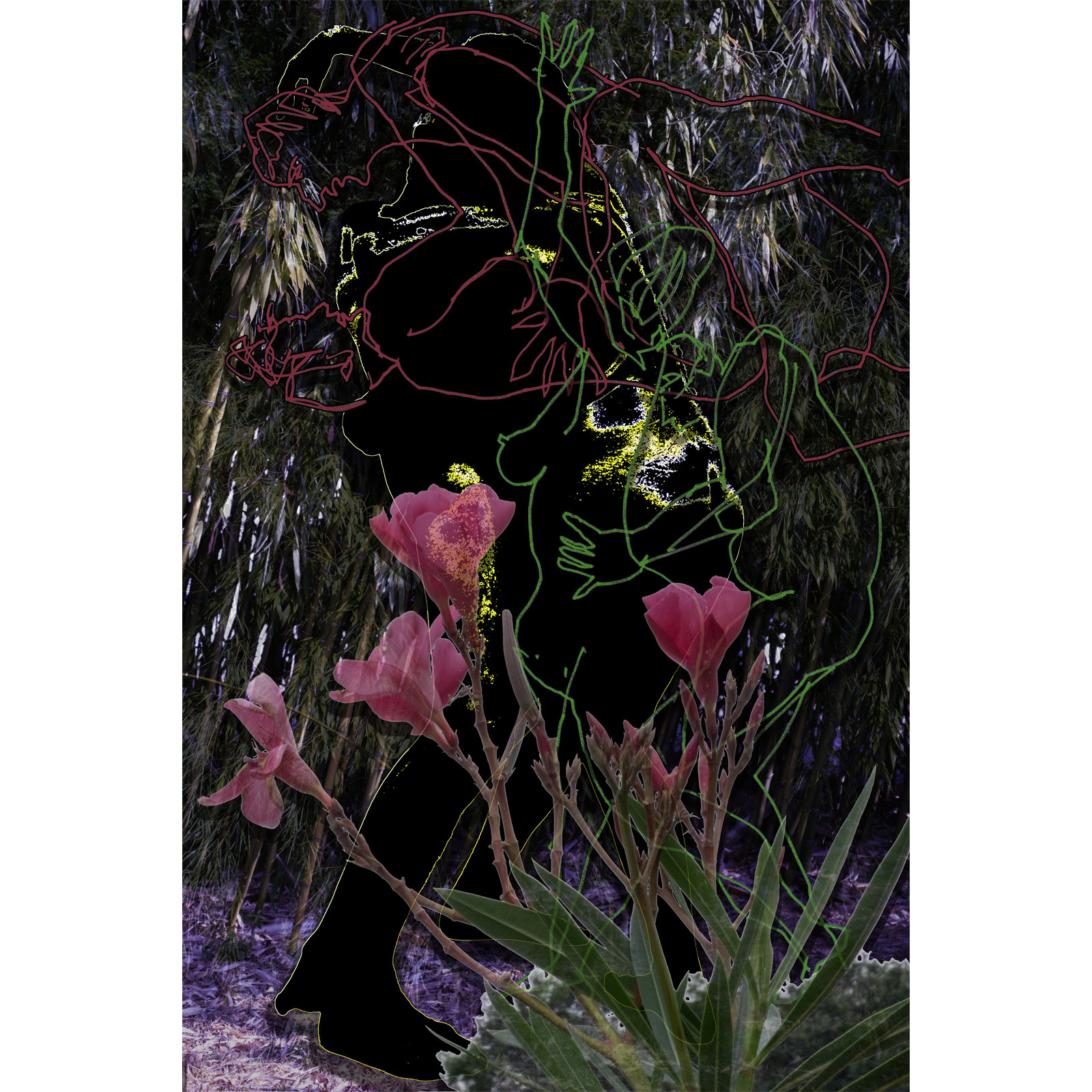 CORPS A CORPS n° 12