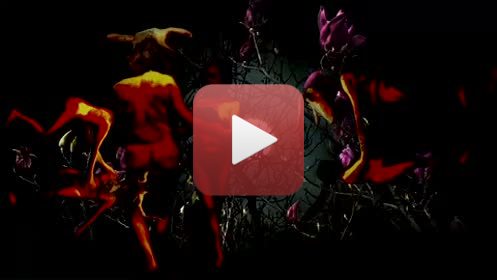 ERRANCE NOCTURNE -  EXTRAIT-1.mov