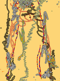 SU  CL - FACE   04-2015    BAS