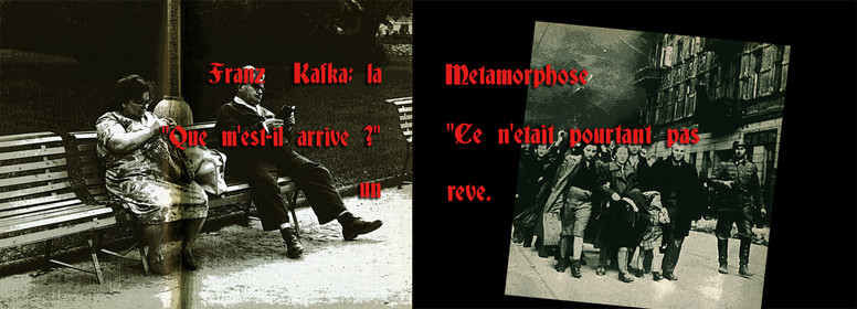 KAFKA -  LA METAMORPHOSE