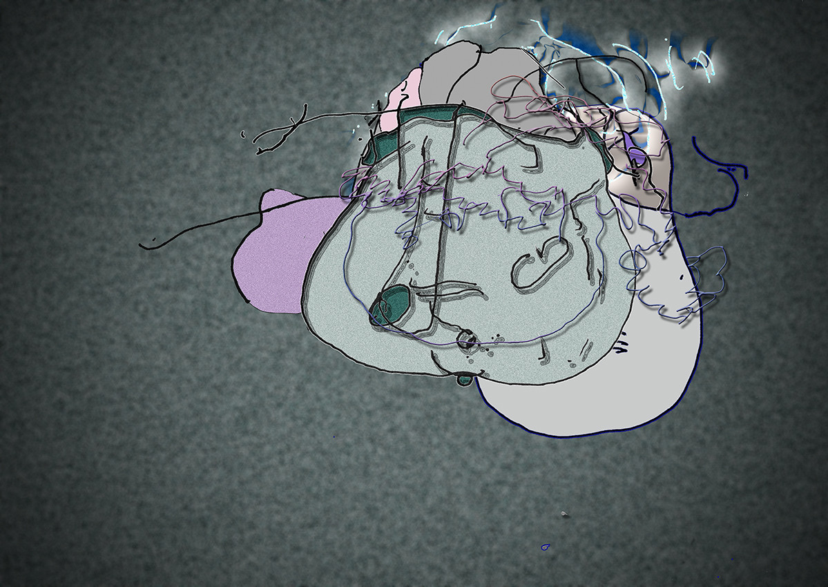 14- MAR  CL - PROFIL SEXE