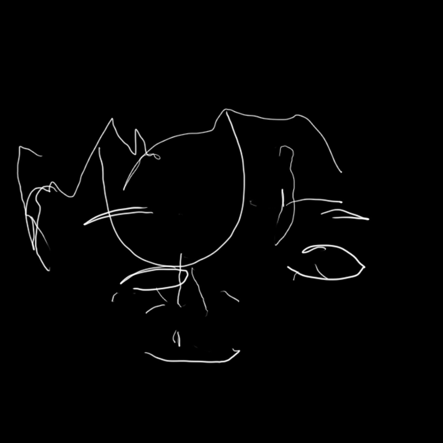 Portrait réalisé les yeux bandés, par ANDREI, élève ingénieur de l'INSA, de Toulouse.Janvier 2010