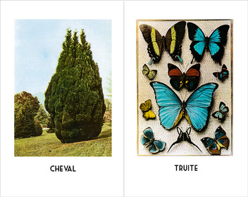 AMBILOGUE IMAGENES 15-16.jpg