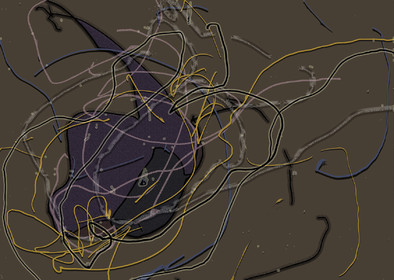 59- OL  CL - GPMPV - SEXE