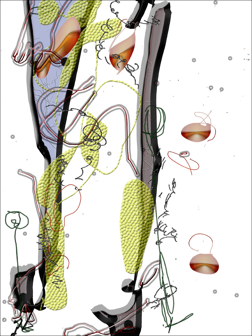 14 - CE  CL - REPLIQUE AGILE - BAS