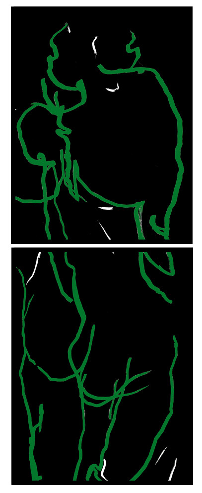 HE  CL  2DESSIN EN AVEUGLE, les yeux bandés, par touché du corps. Dessins repris scannés et travaillés sur palette graphique. Chaque image, au format 30 x 40, est imprimée par jet d'encres aux pigments.Les initiales désignent en premier celui qui dessine, en second, celui qui est dessiné80 X 30   octobre 2010