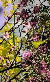 PRINTEMPS PAGE-07.jpg