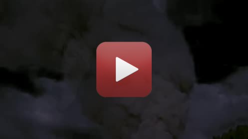 LE COLLECTIONNEUR DE RÊVES   extraits des rêves 1 à 5