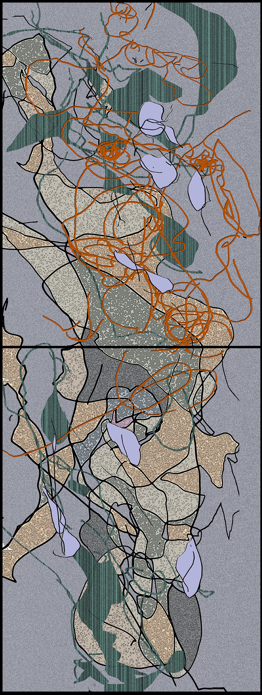 LI  CL - FACE    06-2014