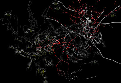 Toutes ces images sont réalisées à partir de 6 dessins de perceptions ( CONTOURS, DUR, SOUPLE, CHAUD, FORMES, POILS ), qui sont ensuite numérisés, et travaillés sur palette graphique. Impression aux encres aux pigments.un SX est toujours accompagné de sa Réplique, par l'échange des rôles : celui qui touchait et dessinaittouche et dessine à son tour.format 40 x 60 cm