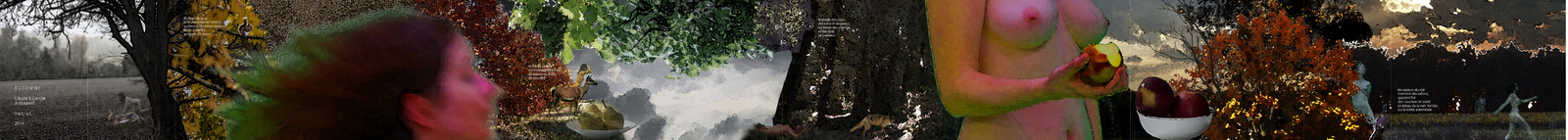AUTOMNE.jpg